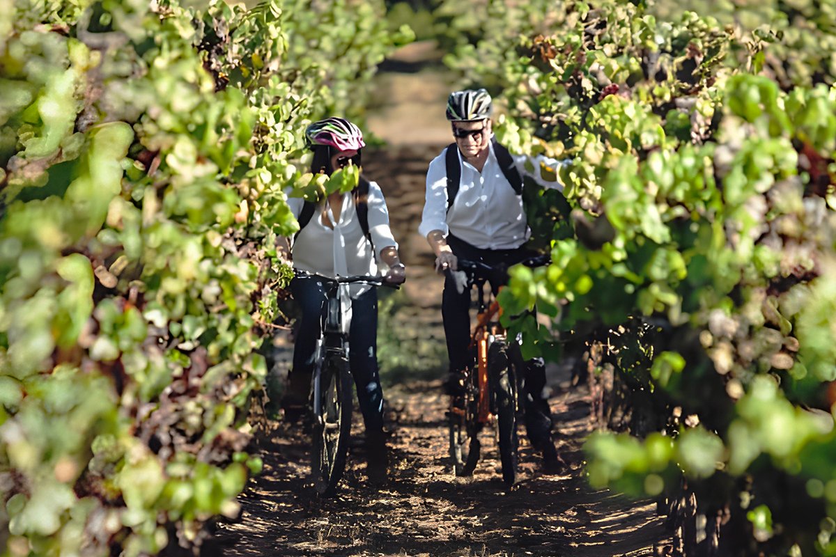 Casas del Bosque Bike Tour 2